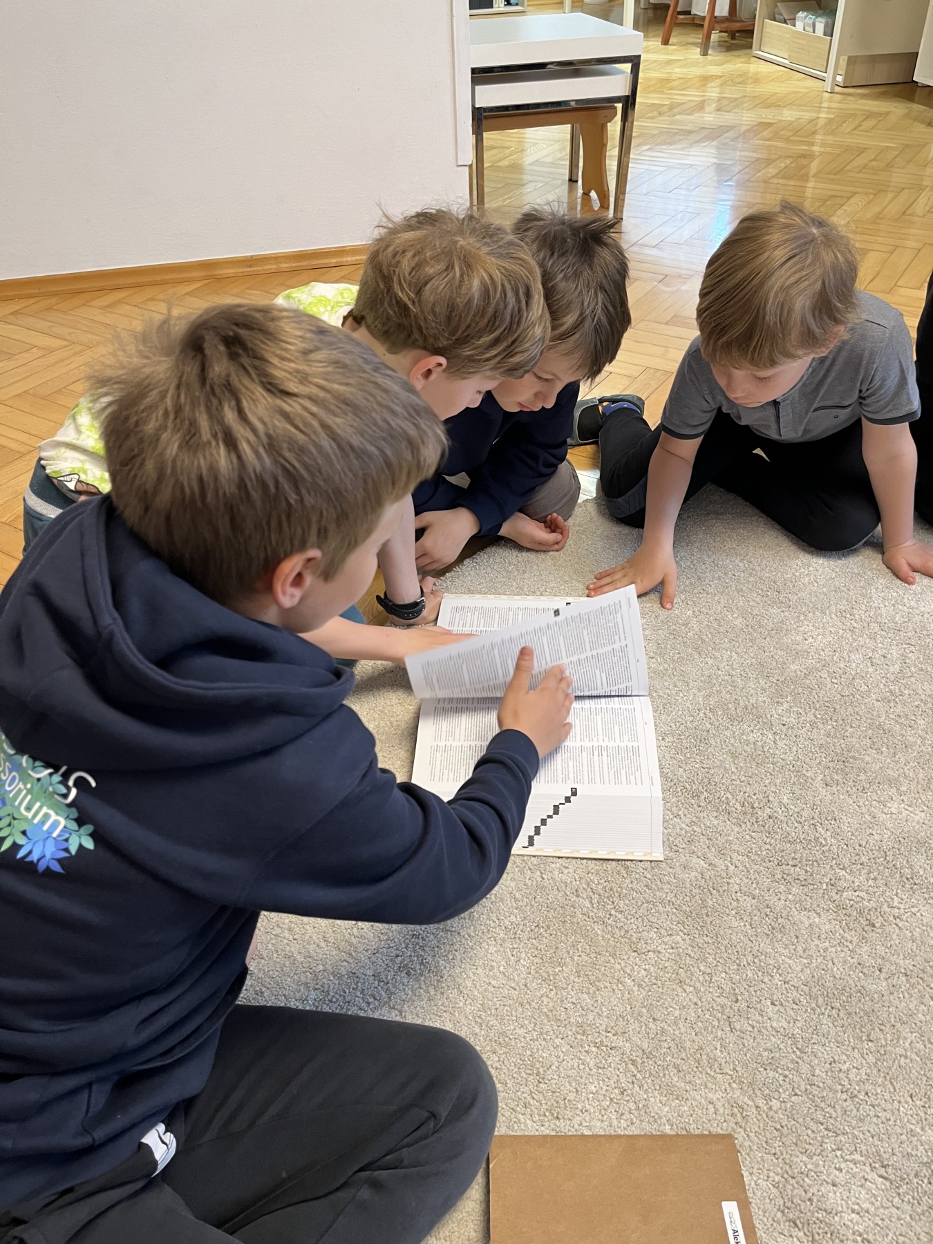 Locus Montessorium - Starostno mešano okolje